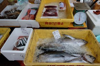 勝浦朝市の魚